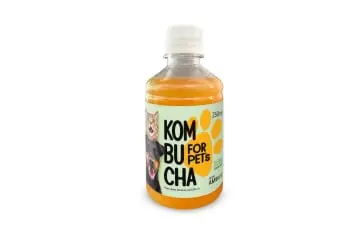 Kombucha Pet